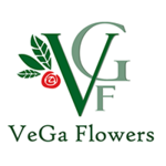 Vega Flowers